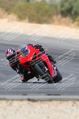 media/Apr-10-2022-SoCal Trackdays (Sun) [[f104b12566]]/Turn 10 (1pm)/